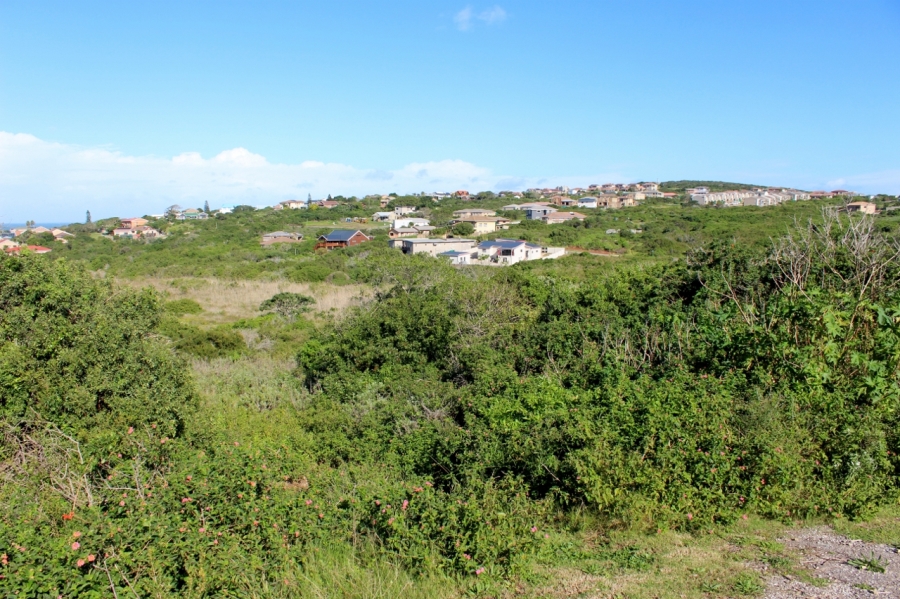 0 Bedroom Property for Sale in Forest Downs Eastern Cape